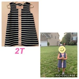 Janie and Jack Navy Pink Stripe Dress 2T